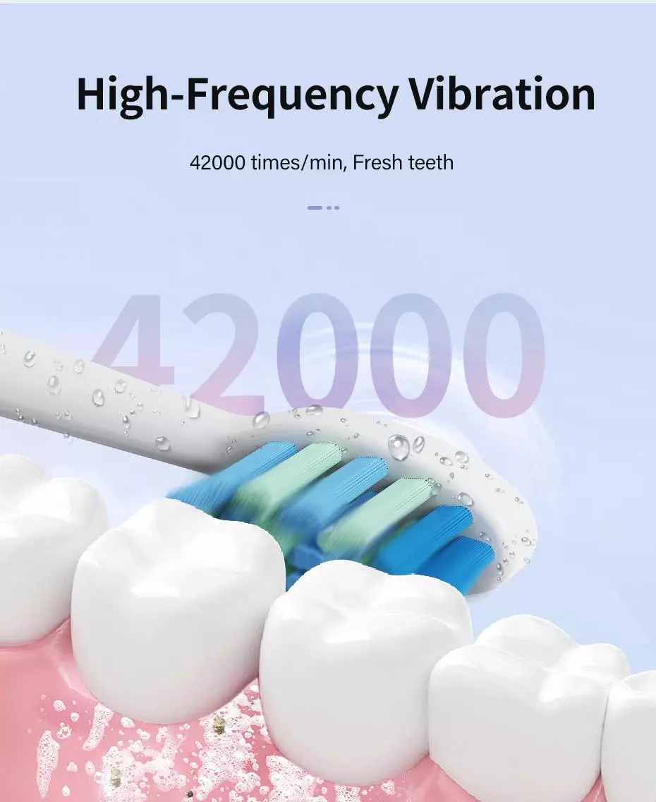 מברשת שיניים חשמלית מסוג USB נטענת IPX7 Sonic Adults לנסיעות