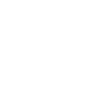 שירות מושלם